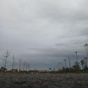 怯（翻自 宋旻浩）