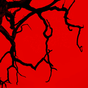 醒来的梦.（PROD BY Red killer）