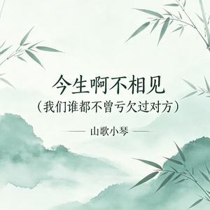 今生啊不相见（我们谁都不曾亏欠过对方）