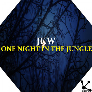 One Night in the Jungle (Original Mix)