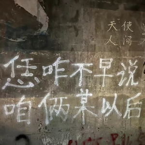 对抗（pro.Rnmon）