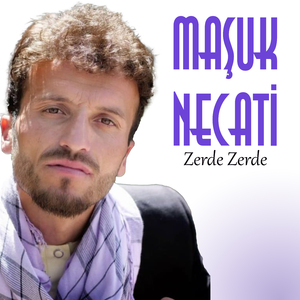 Segavi