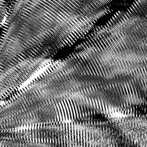 Whisper Between The Branches