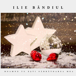 Doamne Tu Ești Sărbătoarea Mea