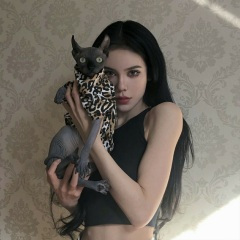 全网都在找的曲儿