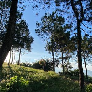 for you, to you (feat. jacy nyte)