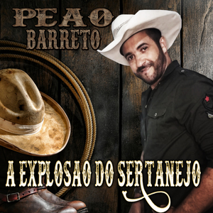 Se Não For pra Te Ver Não Vou