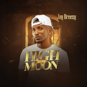 High to the Moon