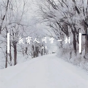 我寄人间雪一封