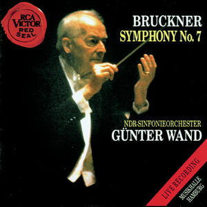 Symphony No. 7 in E Major, WAB 107:I. Allegro moderato