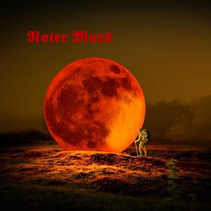 Zogen einst fünf wilde Schwäne