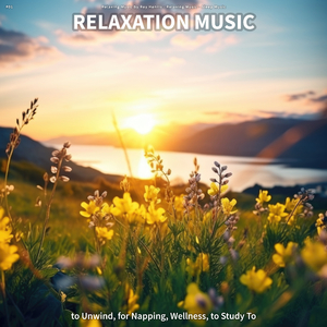 Relaxing Music to Work To