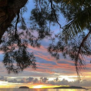 梦里与你再拥抱