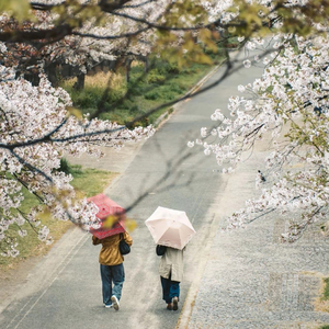 缘来缘去缘如水