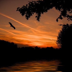 君死にたまふことなかれ