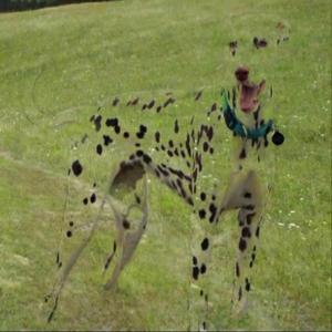 Quetzalcoatlus