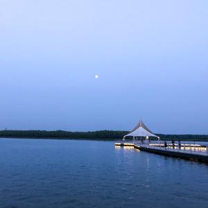 大眠（深情版）