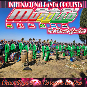 Chacaltaya 97.16 Corazón de Oro