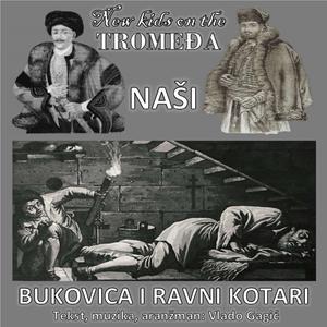 Naši (Bukovica i Ravni kotari)