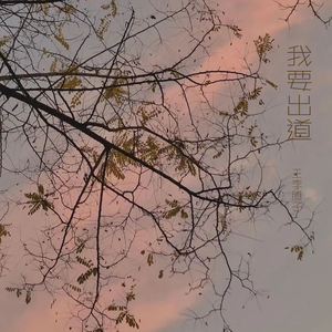 我要出道