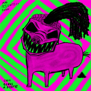 Exp 4: Genus a Doofus