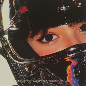 冬の星 （Winter Stars）