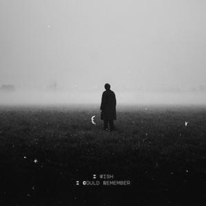 I Wish I Could Remember