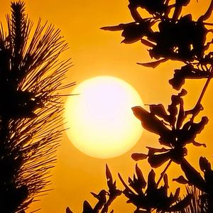 Güçlüyüm - Arabesk