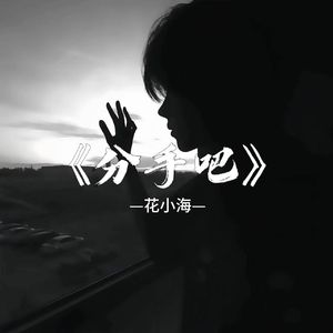 分手吧-花小海