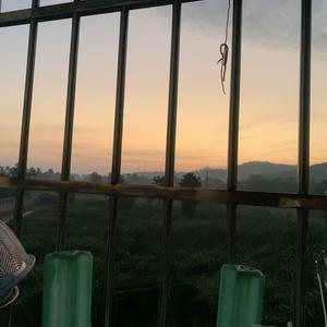 沉默是金（王也 remix）