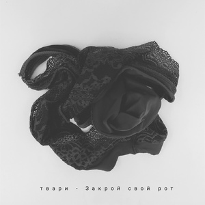 Закрой свой рот