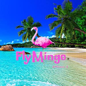 FlyMingo