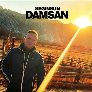 Seginsun Damsan