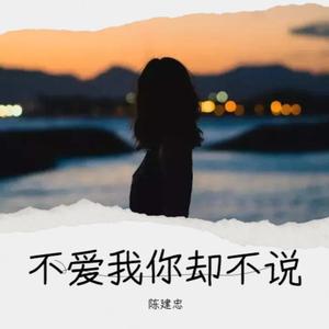 不爱我你却不说