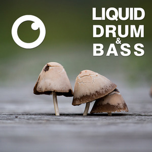 Liquid Drum & Bass Sessions 2020 Vol 20 (The Mix)
