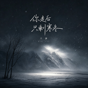 你走后只剩寒冬