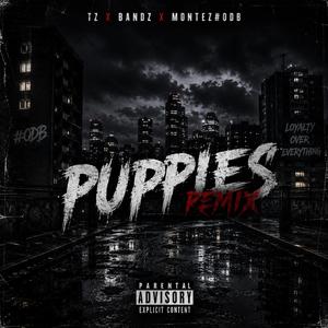 Puppies (feat. Bandz & MontezODB) (Remix )