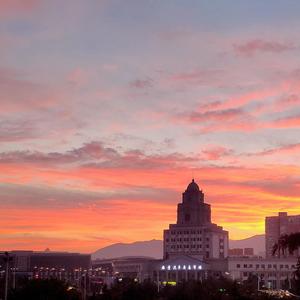 四十六日白色单恋