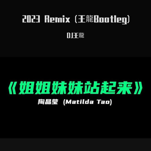陶晶莹-姐姐妹妹站起来 2023  (王龍Bootleg)