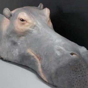 This is my music calling Love show a girl in love You go into battle beware of bad people