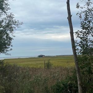 The Bad Apple (feat. Kennedyxoxo, Fijimar & xFujioka)