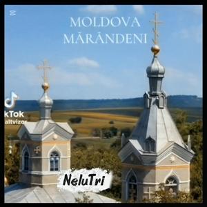 MăRănDeNi...