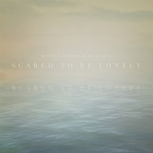 Martin Garrix & Dua Lipa - scared to be lonely(x bootleg)