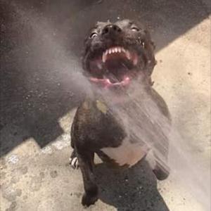 Lower Keys Turn to the West