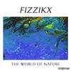 Fizzikx - Fruitful Spirit