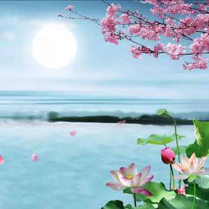 六祖坛经（6品-10品）