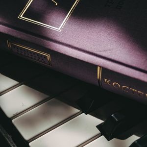 稳稳的幸福 (烟嗓版)