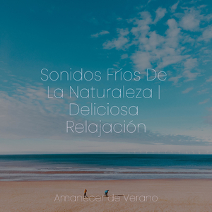 Susurro Solar del Paisaje