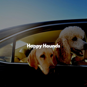 Hypnotic Moods for Doggy Travel Companions