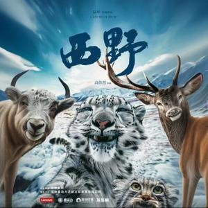 生命是一种轮回